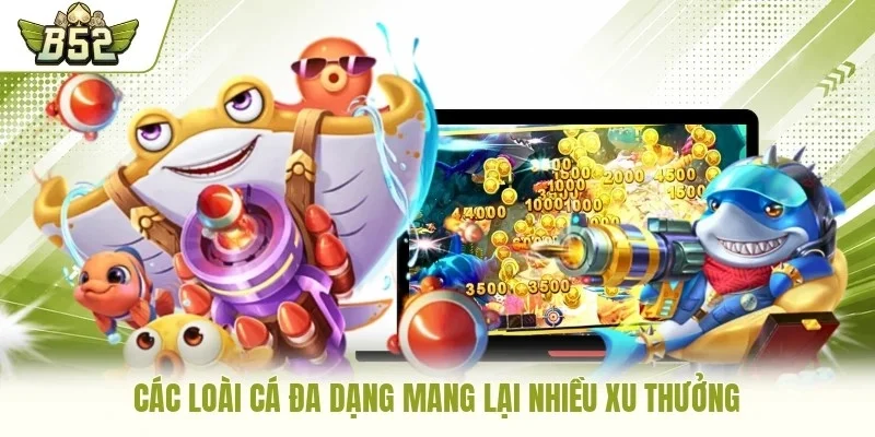 Các loài cá đa dạng mang lại nhiều xu thưởng